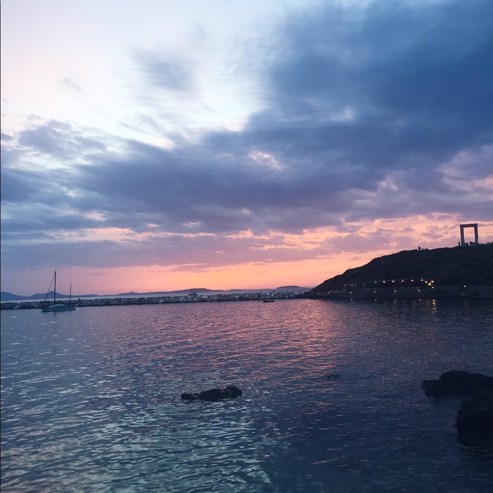 Meet your Posher, Jessie